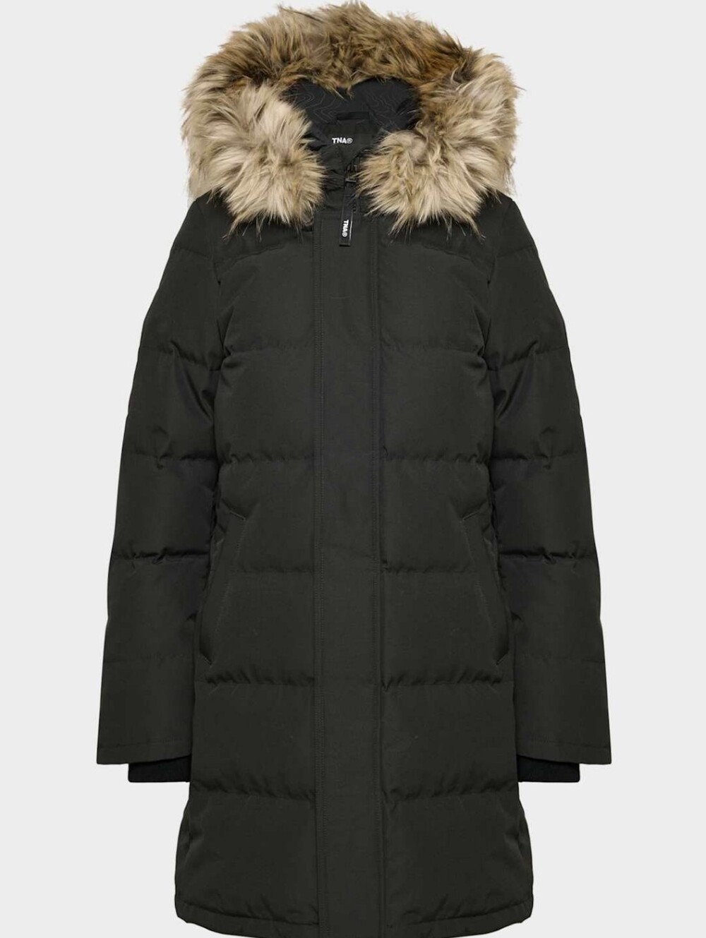 ARITZIA TNA The Powder Parka